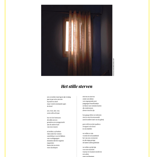 Babs Gons gedicht het stille sterven